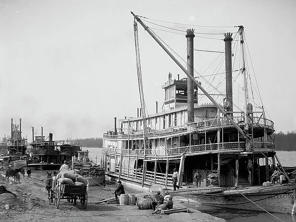 The Levee, Vicksburg, Miss. between 1900 and 1920. Creator: Unknown