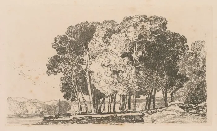 Framed Print : Liber Studiorum: Plate 3, Trees near Twickenham, 1838. Creator: John Sell Cotman (British Framed Print : Liber Studiorum: Plate 3, Trees near Twickenham, 1838. Creator: John Sell Cotman (British