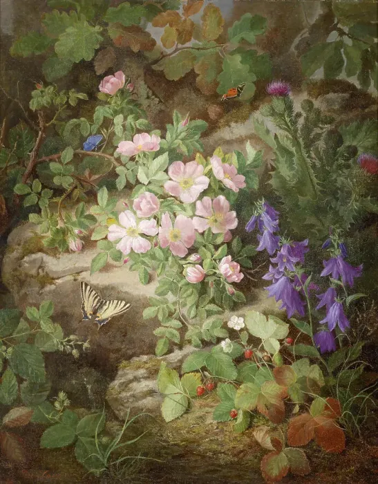 Framed Print : Still life with alpine flowers. Creator: Lauer, Josef (1818-1881) Framed Print : Still life with alpine flowers. Creator: Lauer, Josef (1818-1881)