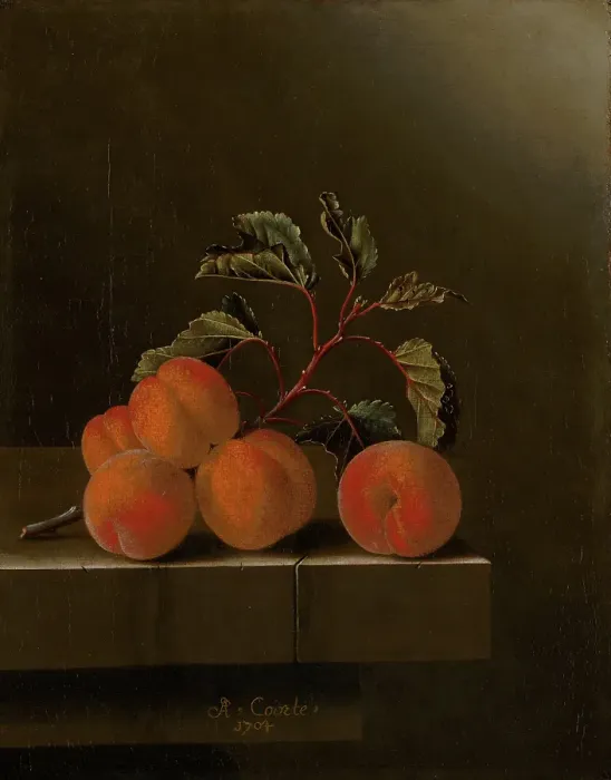 Framed Print : Still Life with Five Apricots, c1680-1700. Creator: Adriaen Coorte Framed Print : Still Life with Five Apricots, c1680-1700. Creator: Adriaen Coorte