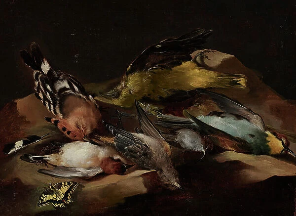 Still Life of Birds and a Butterfly, c1650. Creator: Unknown