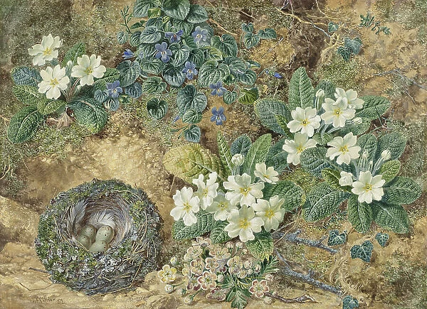 Still life of a bird's nest, violets, primroses and apple blossoms, 1872. Creator: Thomas Frederick Collier