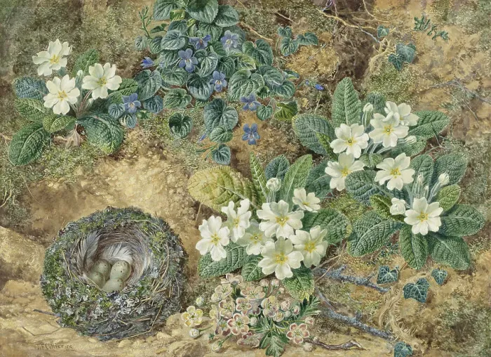 Framed Print : Still life of a bird's nest, violets, primroses and apple blossoms, 1872. Creator: Thomas Frederick Collier Framed Print : Still life of a bird's nest, violets, primroses and apple blossoms, 1872. Creator: Thomas Frederick Collier