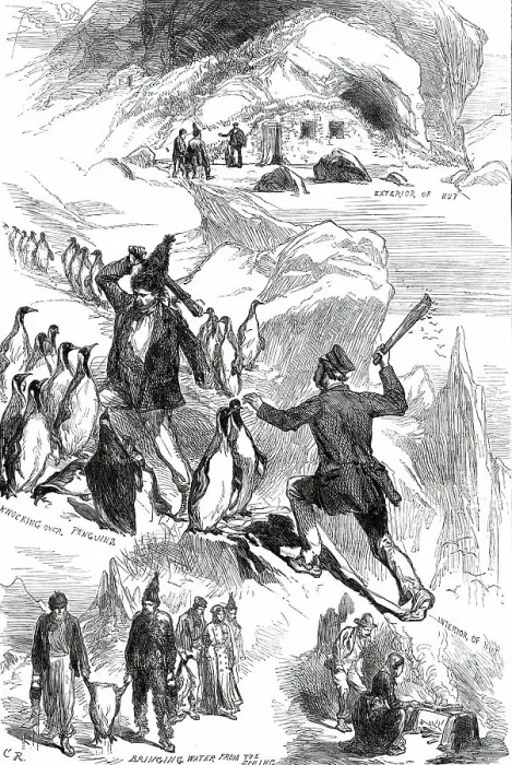 Framed Print : Life on the Crozet Islands, from sketches supplied by Mr. Spencer Joslen, 1876. Creator: C.R Framed Print : Life on the Crozet Islands, from sketches supplied by Mr. Spencer Joslen, 1876. Creator: C.R