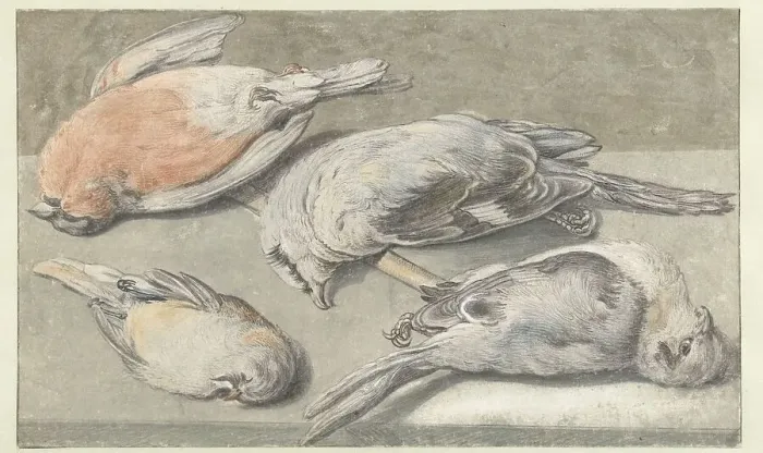 Framed Print : Still Life with Four Dead Birds, c.1640-c.1652. Creator: Elias Vonck Framed Print : Still Life with Four Dead Birds, c.1640-c.1652. Creator: Elias Vonck
