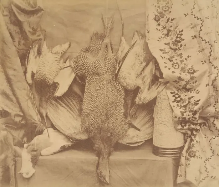 Framed Print : Still Life and Embroidery, 1856. Creator: Robert Wilfred Skeffington Lutwidge Framed Print : Still Life and Embroidery, 1856. Creator: Robert Wilfred Skeffington Lutwidge