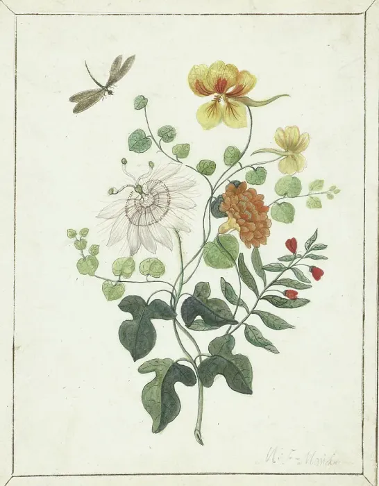Framed Print : Still Life of Flowers, c.1600-c.1687. Creator: Machtelt Moninckx Framed Print : Still Life of Flowers, c.1600-c.1687. Creator: Machtelt Moninckx