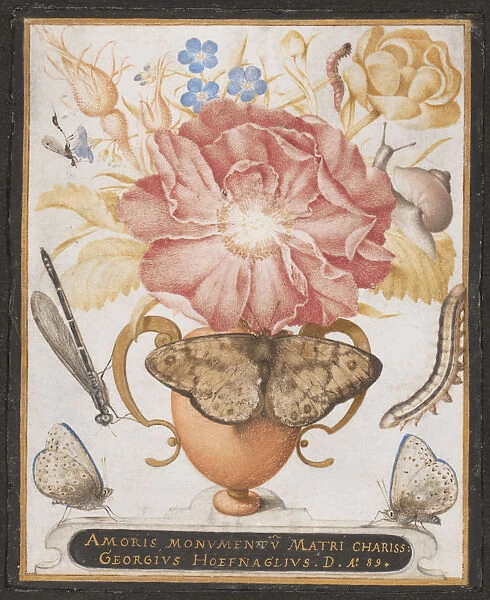 Still Life with Flowers, a Snail and Insects, 1589. Creator: Joris Hoefnagel