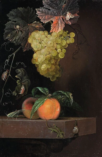 Still Life with Fruit, Lizard and Insects, 1664. Creator: Ottmar Elliger