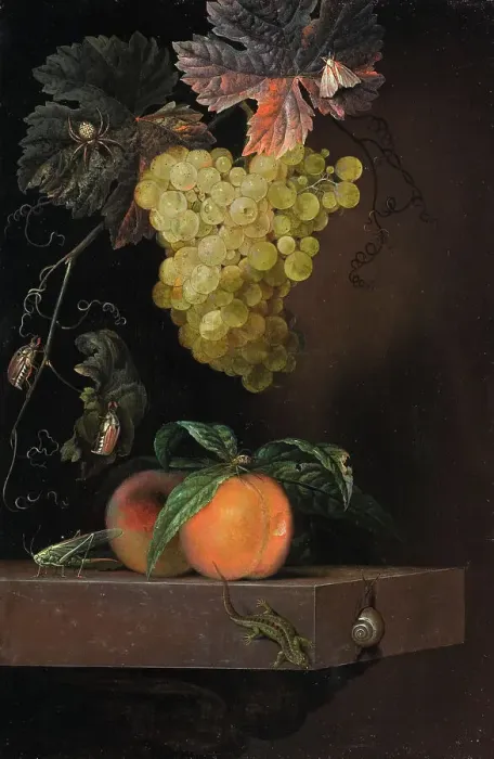 Framed Print : Still Life with Fruit, Lizard and Insects, 1664. Creator: Ottmar Elliger Framed Print : Still Life with Fruit, Lizard and Insects, 1664. Creator: Ottmar Elliger
