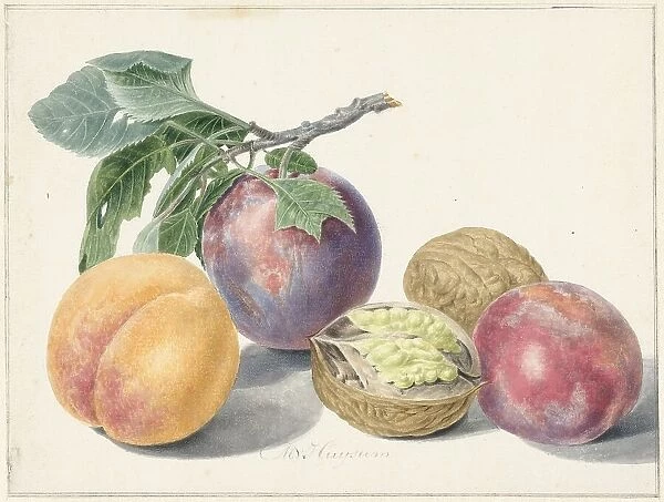 Still life with fruits, 1714-1760. Creator: Michiel van Huysum