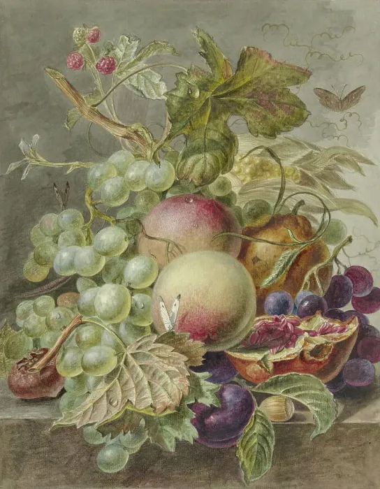 Framed Print : Still life with fruits, 1779-1808. Creator: Jan Evert Morel Framed Print : Still life with fruits, 1779-1808. Creator: Jan Evert Morel