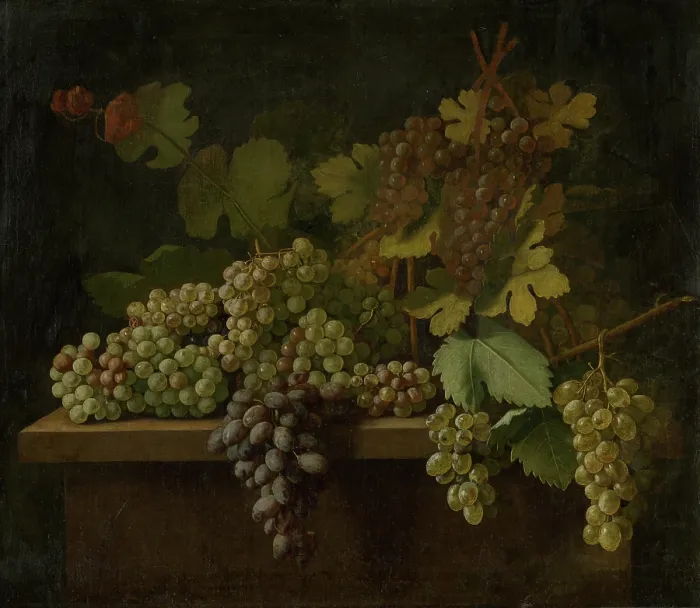 Framed Print : Still life with grapes, 1740-1750. Creator: Istvan Mihsaly Izbeghy Framed Print : Still life with grapes, 1740-1750. Creator: Istvan Mihsaly Izbeghy