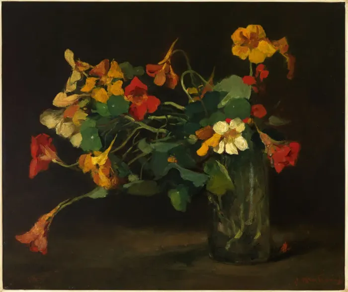 Framed Print : Still Life with Nasturtiums Framed Print : Still Life with Nasturtiums