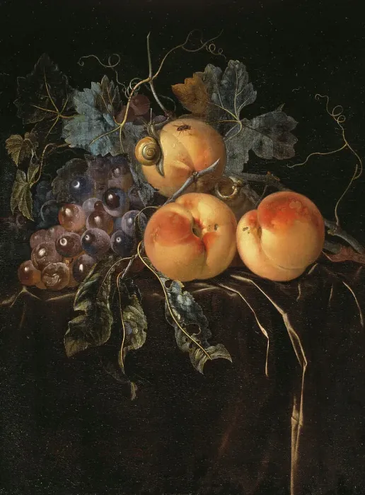 Framed Print : Still Life with Peaches and Grapes. Creator: Willem van Aelst Framed Print : Still Life with Peaches and Grapes. Creator: Willem van Aelst