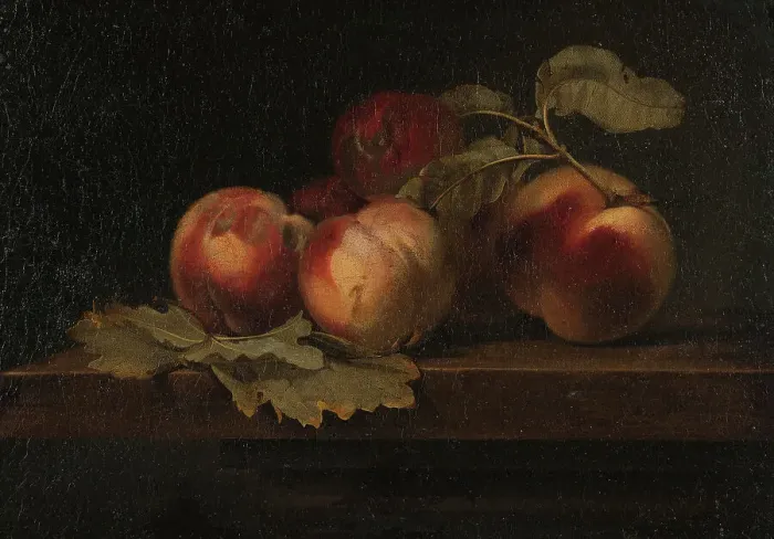 Framed Print : Still Life with Peaches, late 18th-early 19th century. Creator: ttributed to Gerard van Spaendonck (1746-1822) Framed Print : Still Life with Peaches, late 18th-early 19th century. Creator: ttributed to Gerard van Spaendonck (1746-1822)