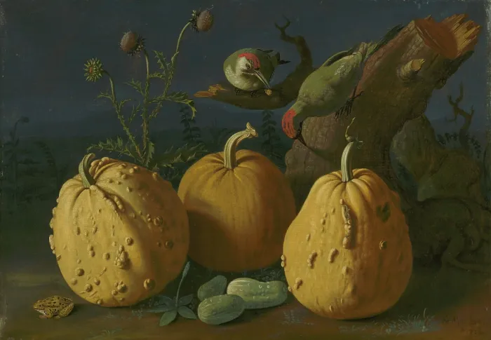 Framed Print : Still Life with Pumpkins and Cucumbers, 1734. Creator: Istvan Mihsaly Izbeghy Framed Print : Still Life with Pumpkins and Cucumbers, 1734. Creator: Istvan Mihsaly Izbeghy