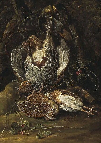 Still Life with Quails and a Partridge. Creator: Jan Fyt
