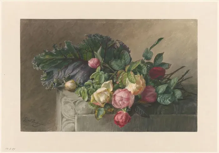 Framed Print : Still life with roses and cabbage leaf, 1836-1892. Creator: Gerardina Jacoba van de Sande Bakhuyzen Framed Print : Still life with roses and cabbage leaf, 1836-1892. Creator: Gerardina Jacoba van de Sande Bakhuyzen