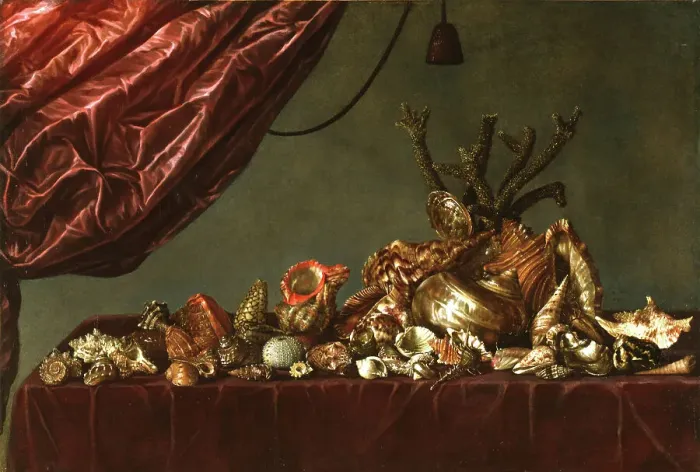 Framed Print : Still Life with Shells, 1659. Creator: Susenier, Abraham (c. 1620-c. 1666) Framed Print : Still Life with Shells, 1659. Creator: Susenier, Abraham (c. 1620-c. 1666)