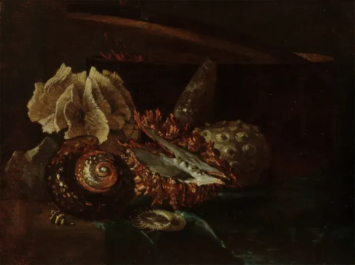 Framed Print : Still Life with Shells and Coral, c1640-1690. Creator: Willem Kalf Framed Print : Still Life with Shells and Coral, c1640-1690. Creator: Willem Kalf