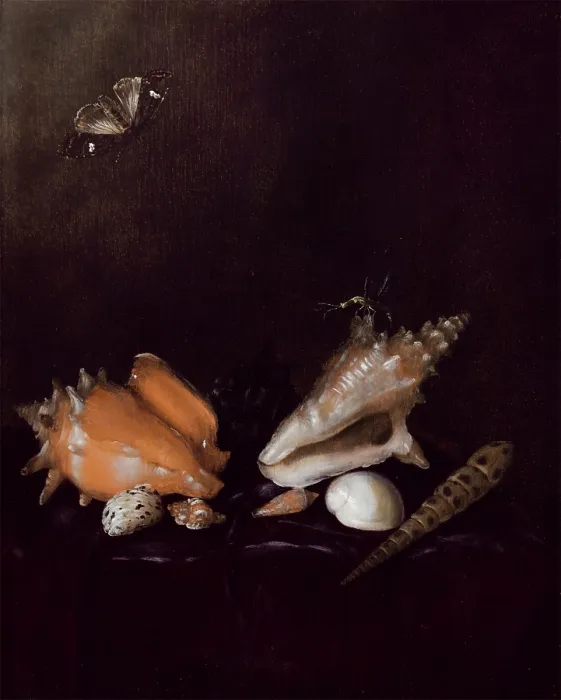 Framed Print : Still Life with Shells and Insects, 1656. Creator: Pieter van de Venne Framed Print : Still Life with Shells and Insects, 1656. Creator: Pieter van de Venne