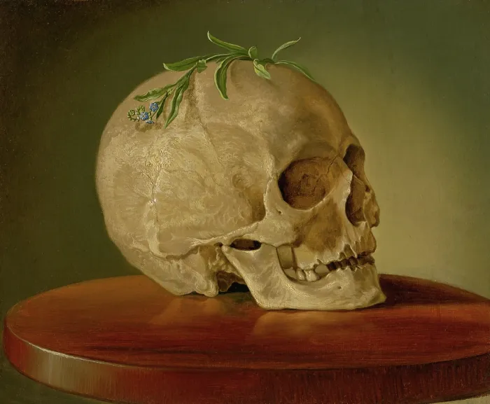 Framed Print : Still Life with a Skull and a Forget-Me-Not, around 1860. Creator: Frantisek Klimkovic Framed Print : Still Life with a Skull and a Forget-Me-Not, around 1860. Creator: Frantisek Klimkovic