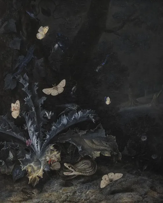 Framed Print : Still Life with Thistle and Snake, 1663. Creator: Otto Marseus van Schrieck Framed Print : Still Life with Thistle and Snake, 1663. Creator: Otto Marseus van Schrieck