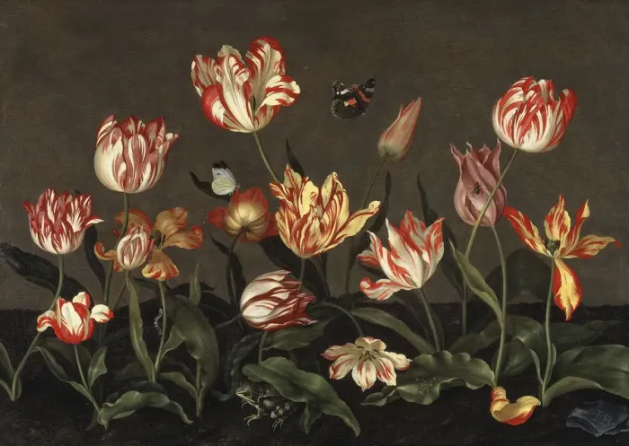 Framed Print : Still Life with Tulips