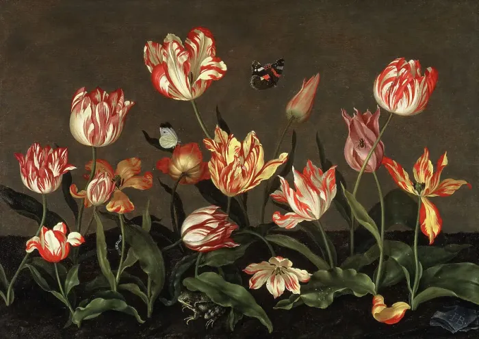 Framed Print : Still Life with Tulips. Creator: Joannes Busschaert Framed Print : Still Life with Tulips. Creator: Joannes Busschaert