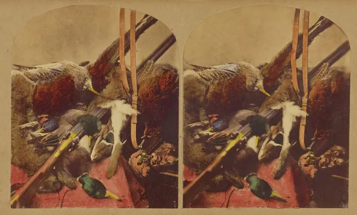 Framed Print : Still life with various dead fowl and rifle, about 1860. Creator: Joseph John Elliott Framed Print : Still life with various dead fowl and rifle, about 1860. Creator: Joseph John Elliott