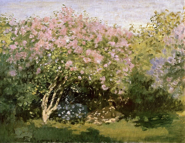 Lilac in the Sun, 1872-1873. Artist: Claude Monet