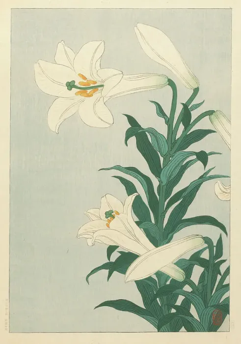 Framed Print : Lilies. Creator: Ohara, Koson (1877-1945) Framed Print : Lilies. Creator: Ohara, Koson (1877-1945)
