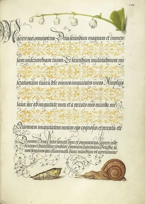 Framed Print : Lily-of-the-Valley, Pupa, and Land Snail, 1561-1562; illumination added 1591-1596. Creator: Joris Hoefnagel Framed Print : Lily-of-the-Valley, Pupa, and Land Snail, 1561-1562; illumination added 1591-1596. Creator: Joris Hoefnagel