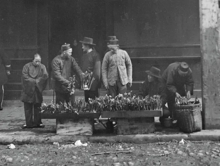 Framed Print : The lily vendor, Chinatown, San Francisco, between 1896 and 1906. Creator: Arnold Genthe Framed Print : The lily vendor, Chinatown, San Francisco, between 1896 and 1906. Creator: Arnold Genthe