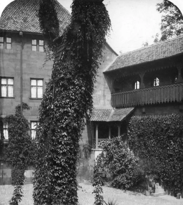 Framed Print : Lime tree in a courtyard, Nuremberg, Bavaria, Germany, c1900s. Artist: Wurthle & Sons Framed Print : Lime tree in a courtyard, Nuremberg, Bavaria, Germany, c1900s. Artist: Wurthle & Sons