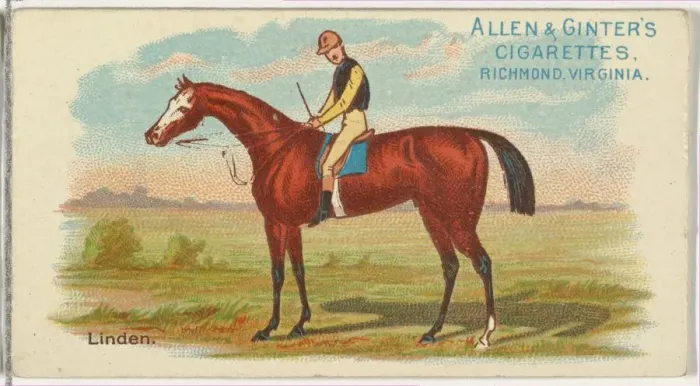 Framed Print : Linden, from The Worlds Racers series (N32) for Allen & Ginter Cigarettes, 1888 Framed Print : Linden, from The Worlds Racers series (N32) for Allen & Ginter Cigarettes, 1888