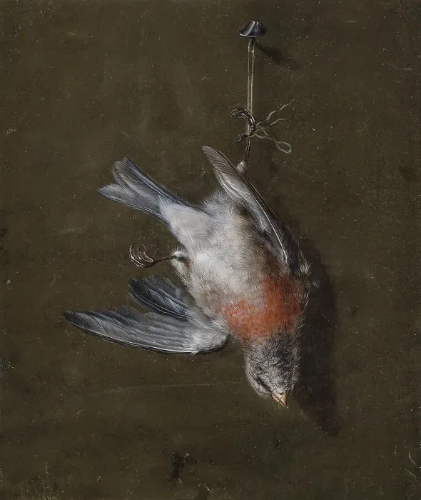 Framed Print : Linnet, 1830-1839. Creator: Wilhelm von Wright Framed Print : Linnet, 1830-1839. Creator: Wilhelm von Wright