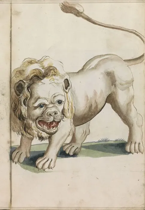 Framed Print : Lion, 1696. Creator: Hendrick van Beaumont Framed Print : Lion, 1696. Creator: Hendrick van Beaumont