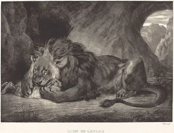 Lion of the Atlas Mountains (Lion de l Atlas), 1829. Creator: Eugene Delacroix