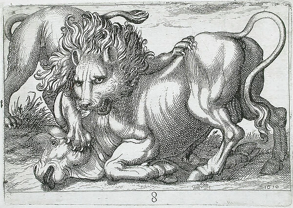 A Lion Attacking a Bull, 1610. Creator: Hendrick Hondius I
