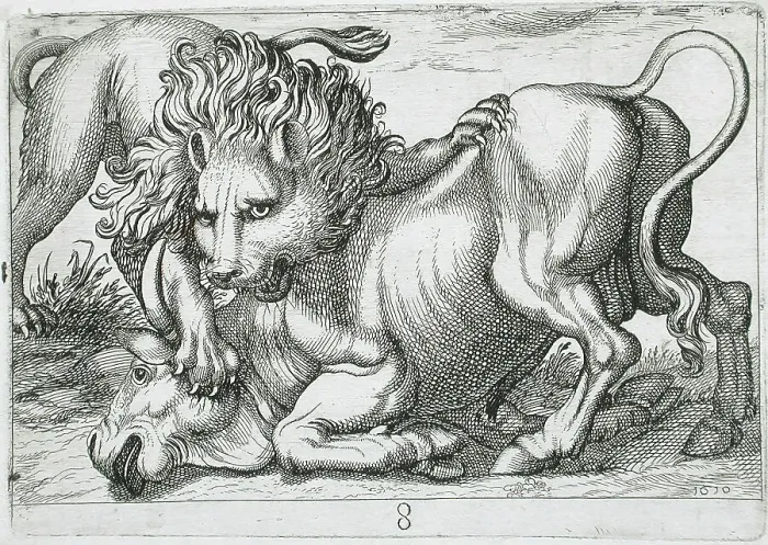 Framed Print : A Lion Attacking a Bull, 1610. Creator: Hendrick Hondius I Framed Print : A Lion Attacking a Bull, 1610. Creator: Hendrick Hondius I
