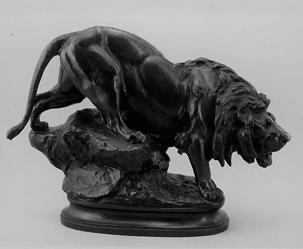 Lion, c. 1880. Creator: Rosa Bonheur