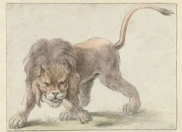 Framed Print : Lion, c.1626. Creator: Cornelis Saftleven Framed Print : Lion, c.1626. Creator: Cornelis Saftleven