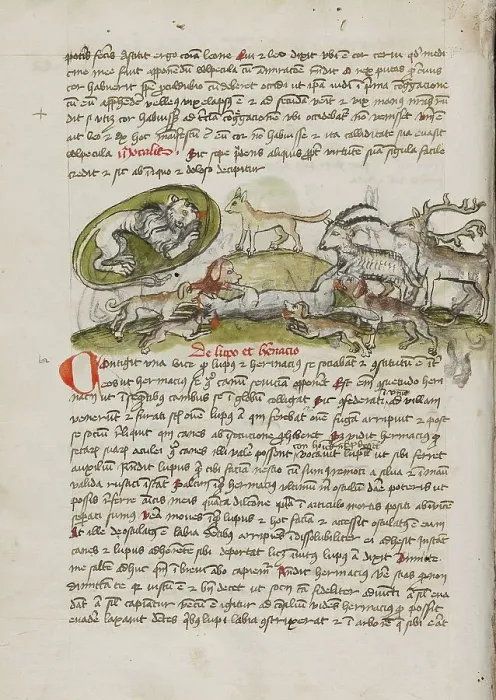 Framed Print : A Lion in its Den and Animals Biting a Wolf; Fables, third quarter of 15th century. Creator: Unknown Framed Print : A Lion in its Den and Animals Biting a Wolf; Fables, third quarter of 15th century. Creator: Unknown