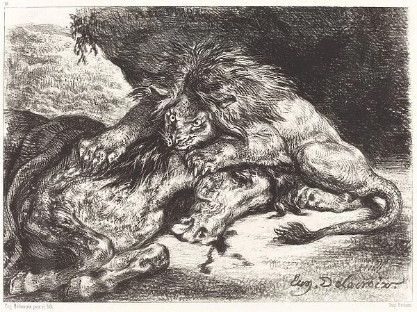 Lion Devorant un Cheval (Lion Devouring a Horse), 1844. Creator: Eugene Delacroix