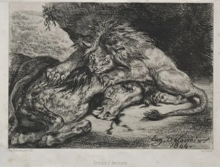 Framed Print : Lion Devouring a Horse, 1844. Creator: Eugene Delacroix (French, 1798-1863); Bertauts Framed Print : Lion Devouring a Horse, 1844. Creator: Eugene Delacroix (French, 1798-1863); Bertauts