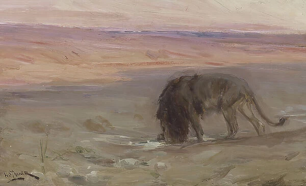 Lion Drinking, c1897. Creator: Henry Ossawa Tanner