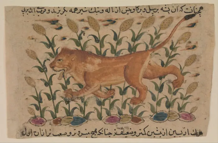 Framed Print : A Lion, Folio from a Dispersed Nuzhatnama-i Ala’ Framed Print : A Lion, Folio from a Dispersed Nuzhatnama-i Ala’
