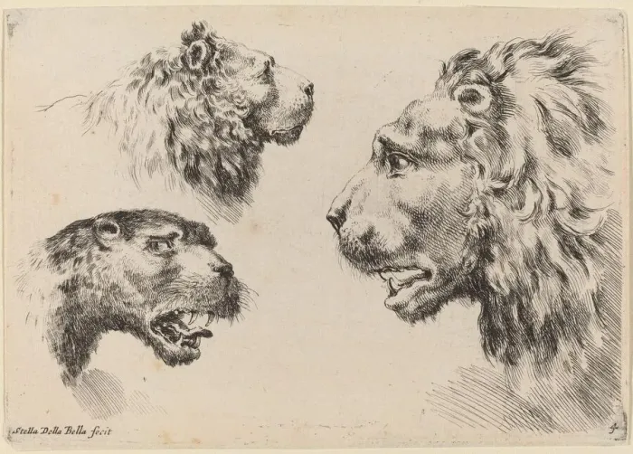 Framed Print : Three Lion Heads, probably 1649. Creator: Stefano della Bella Framed Print : Three Lion Heads, probably 1649. Creator: Stefano della Bella